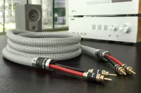 Ricable Invictus Speaker Reference MKII - 2x2.5m - 3