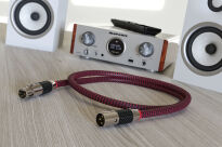 Ricable Invictus AES/EBU - 0.5m - 4