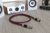 Ricable Invictus AES/EBU - 0.5m - 3