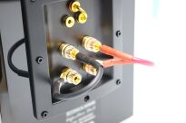 Ricable Dedalus Bridge (DPF) - 3