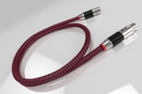 Ricable Invictus AES/EBU - 3.0m - 4