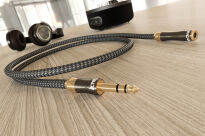 Ricable Magnus Jack 6.3 Extension Cable - 5.0m - 4