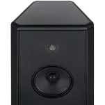 Rosso Fiorentino Pisa (Carbon Fiber / Karbon) - Kolumny Podłogowe High-End - 2